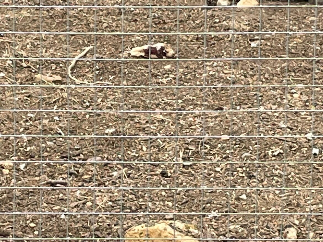 Parc du Touron-Campsegret必去景点