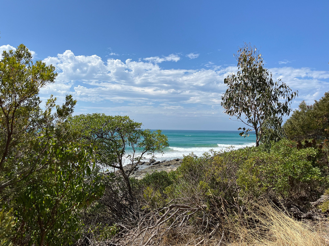 Doug Stirling Walking Track-洛恩必去景点