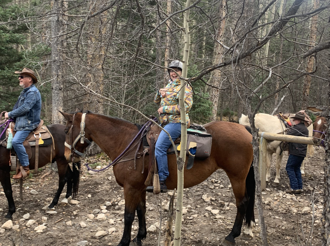 Mt Princeton Hot Springs Stables-Nathrop必去景点