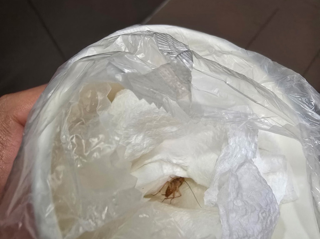 Comfort Suites near MCS Beaufort主图