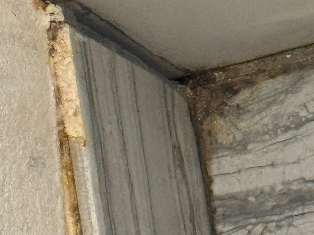 Days Inn by Wyndham Athens Alabama主图