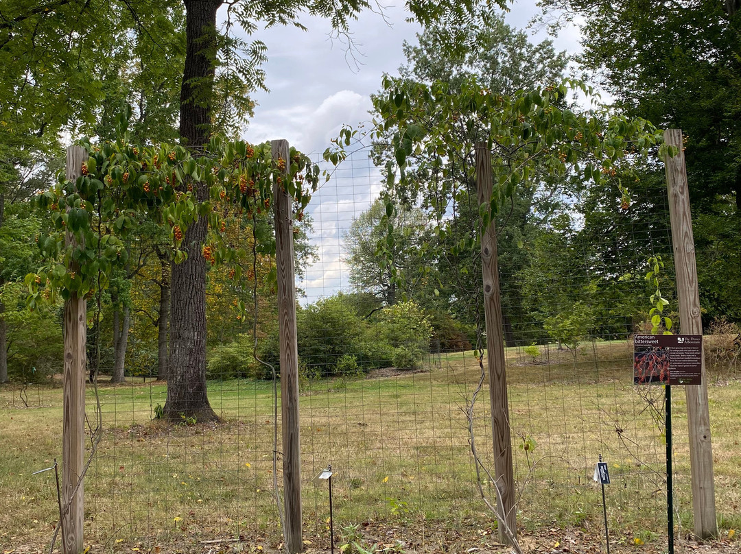 Dawes Arboretum-Newark必去景点