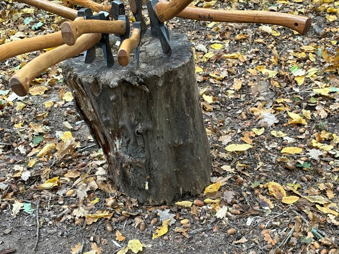 Wildway Bushcraft-Wimborne Minster必去景点