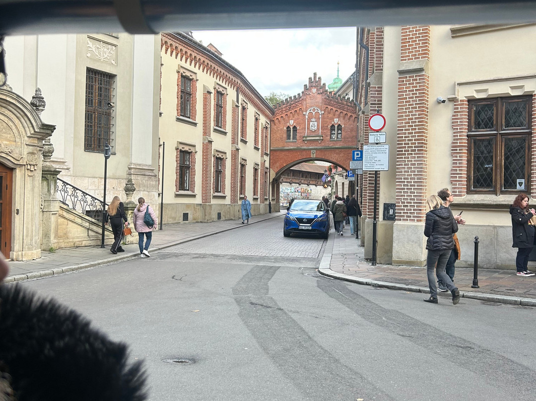 Golf Buggy Tours-克拉科夫必去景点