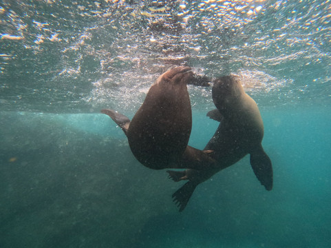 Huellas de Darwin-Puerto Baquerizo Moreno必去景点