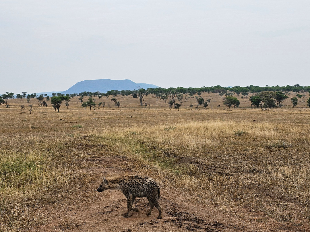White Snow Travel-坦噶必去景点