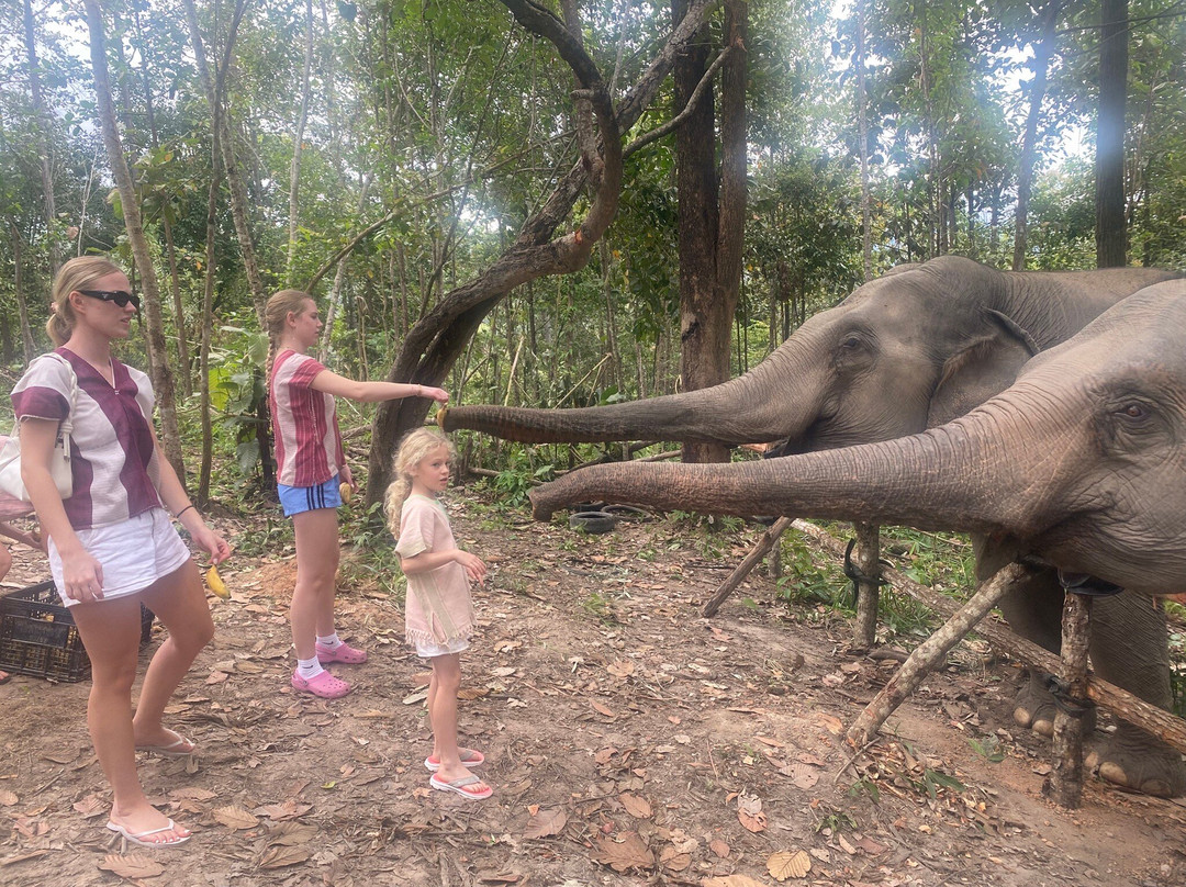 丛林天堂大象园-Mae Win必去景点