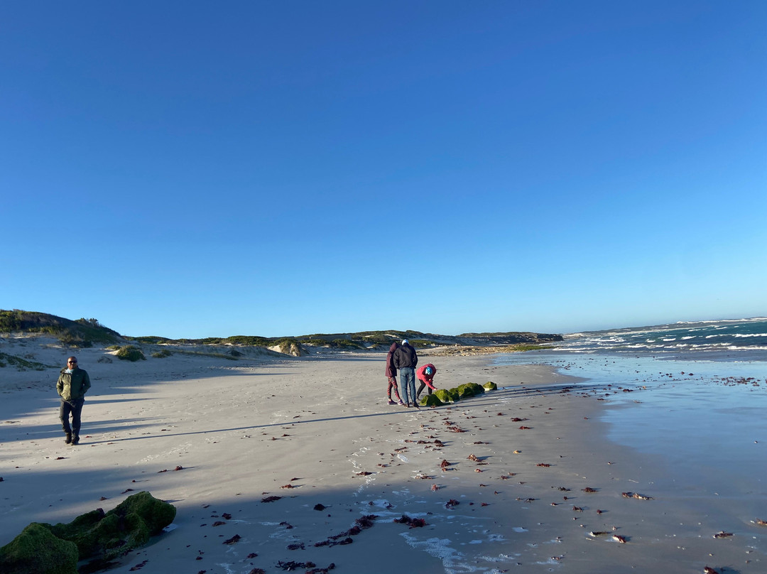 Wild Wellness-赫曼努斯必去景点