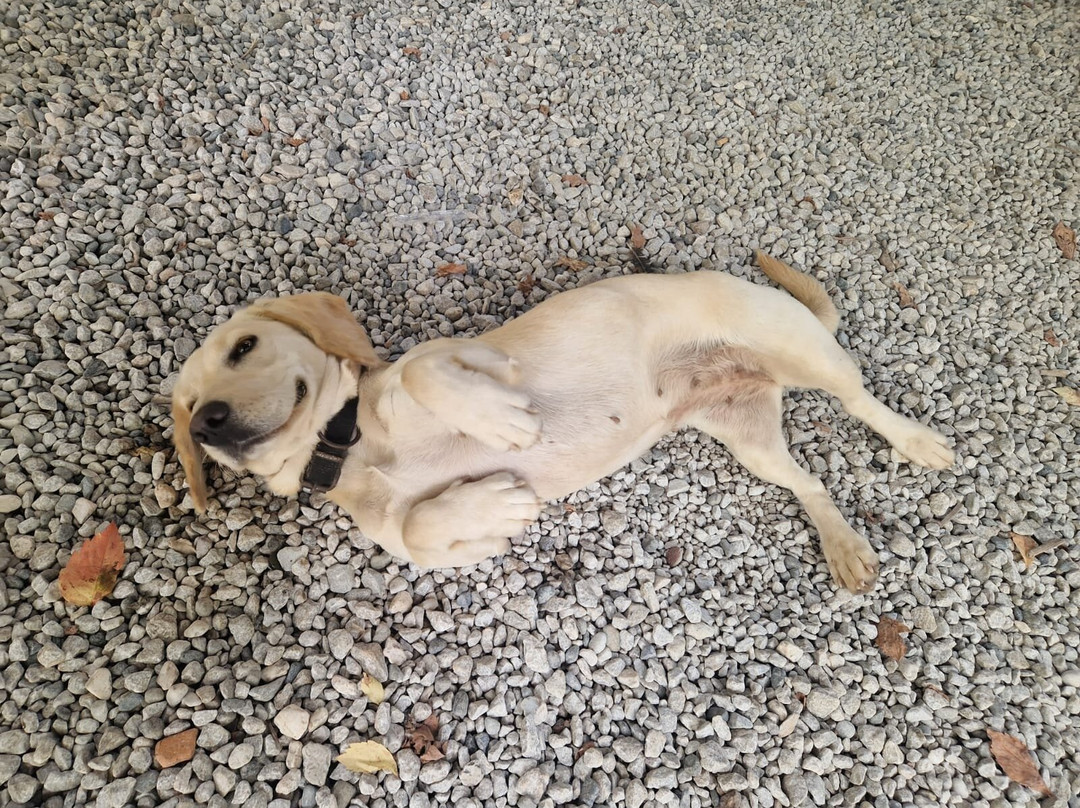 Pinar Horse Safari-马尔马里斯必去景点