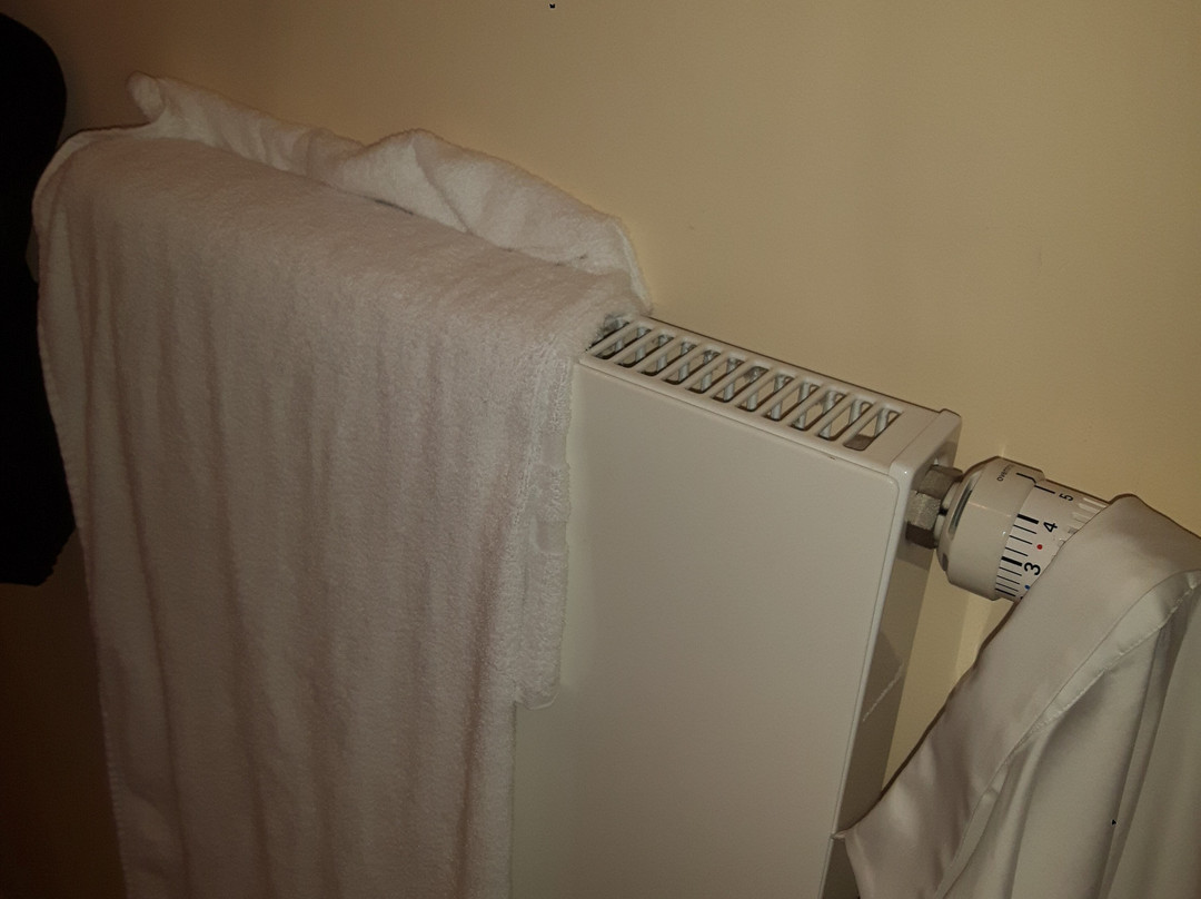 考夫豪斯阿尔特斯酒店主图