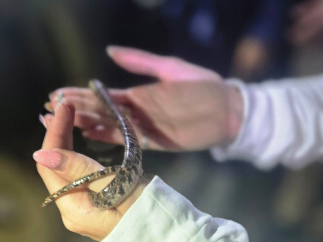 Unlock Nature-帕拉马里博必去景点