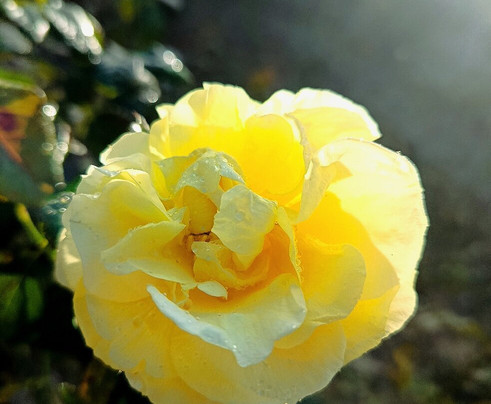 Chateau Fort De La Fée Mélusine-Saint Jean d'Angle必去景点