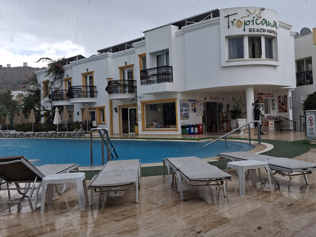 热带海滩酒店主图