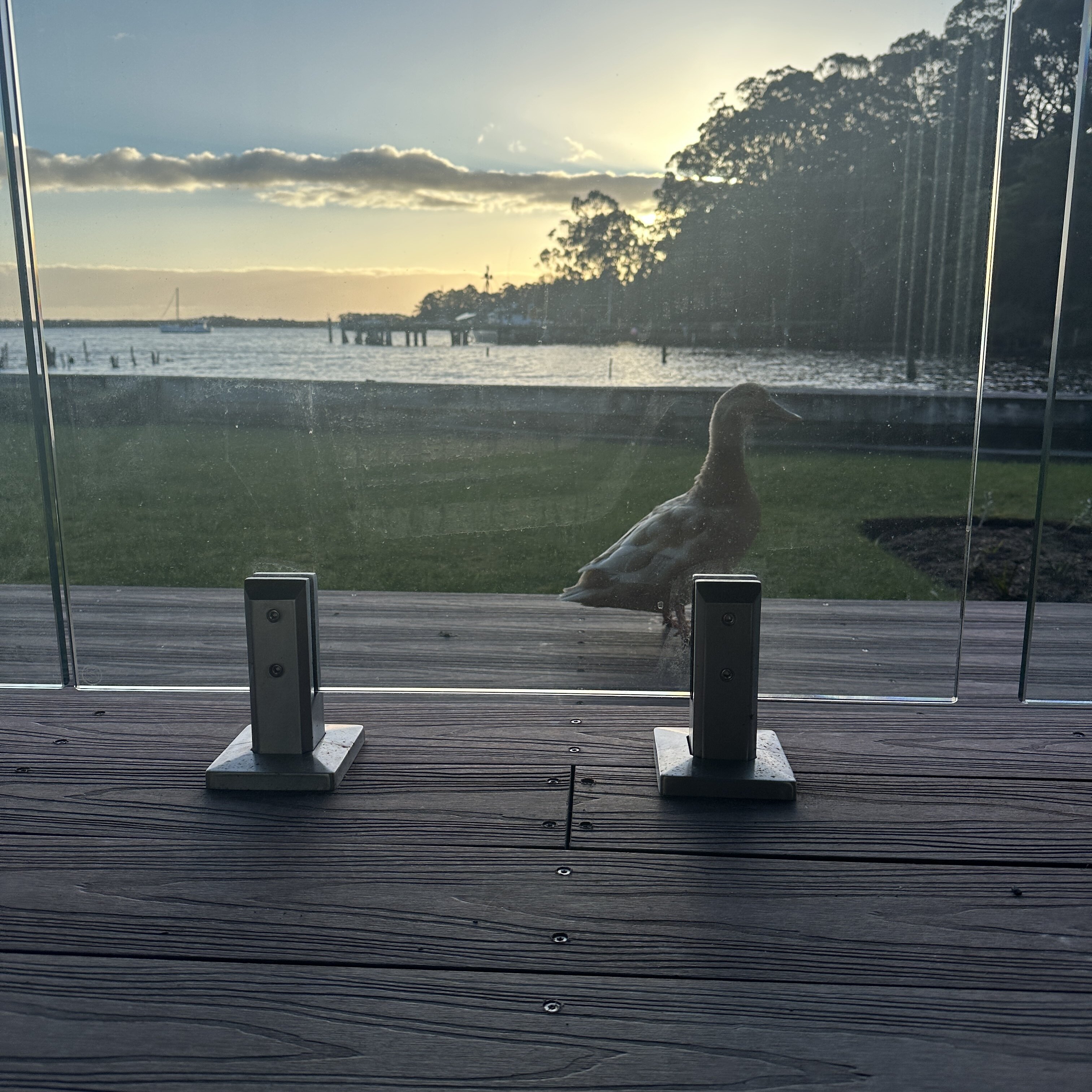 里斯比科夫酒店-酒店景观