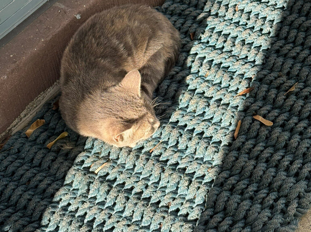 Rocky Acre Farm B&B主图