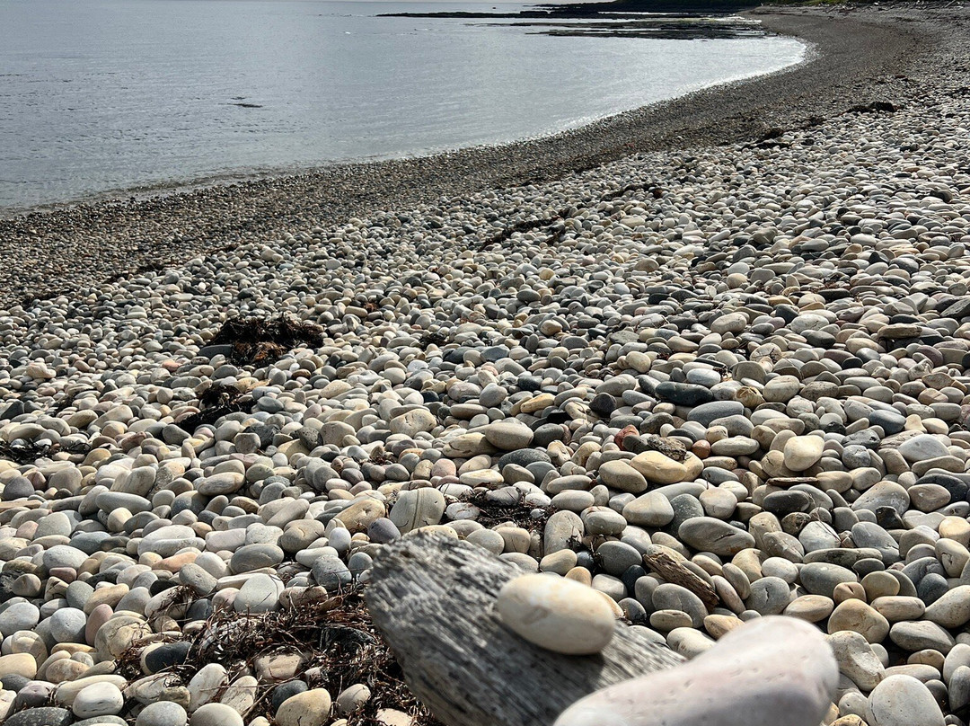 Lillico Beach Conservation Area-Lillico必去景点