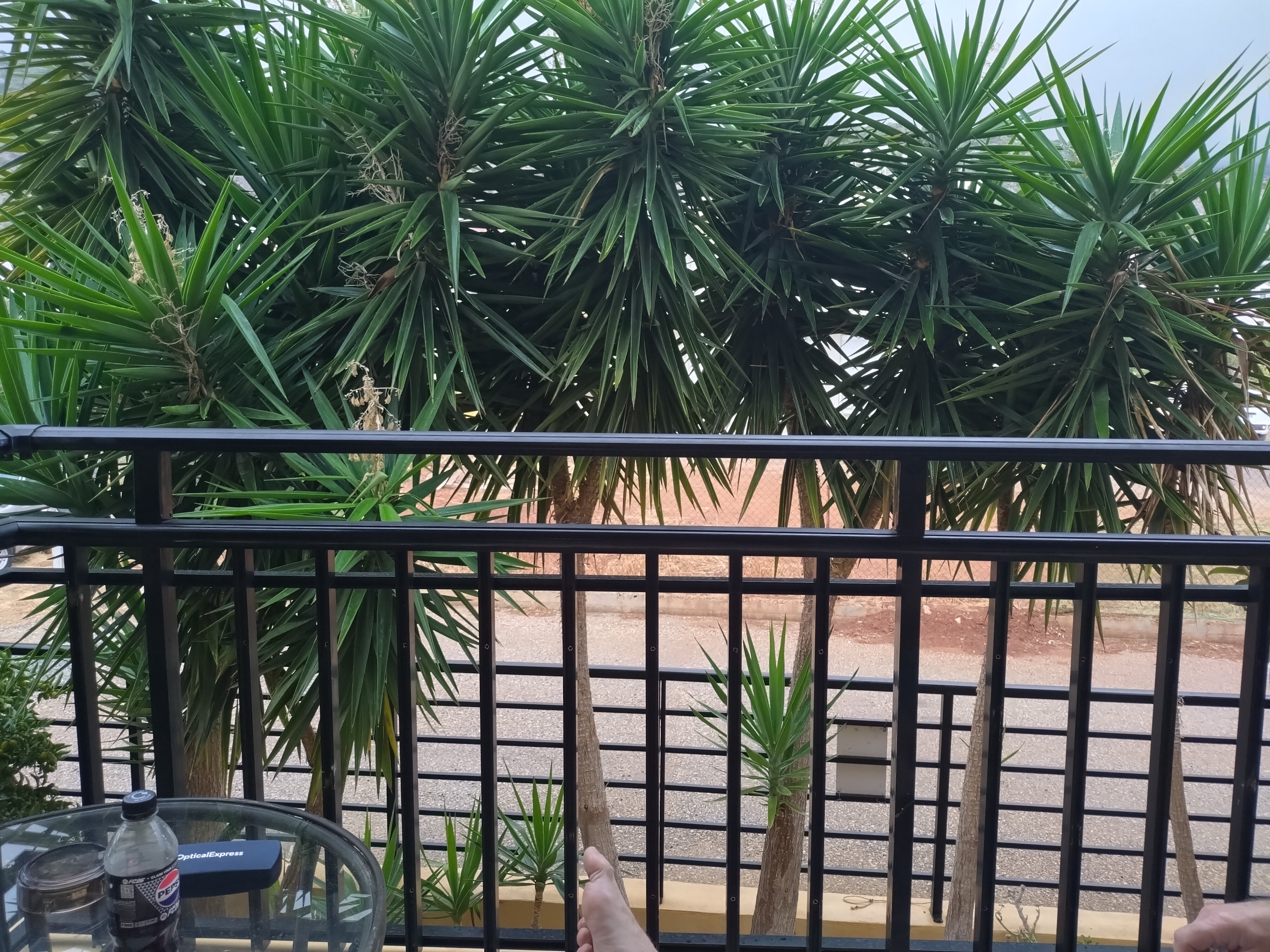 Latania Studios & Apartments-官方