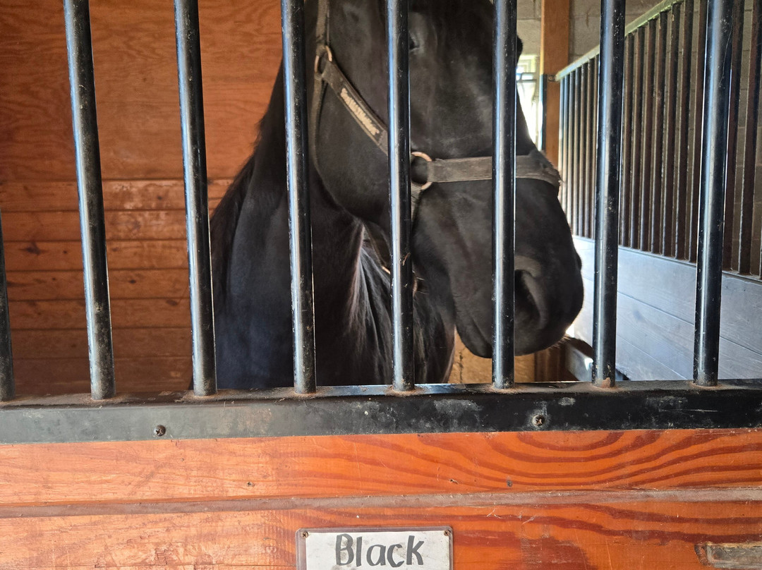 Strasburg Scooter Tours-Strasburg必去景点