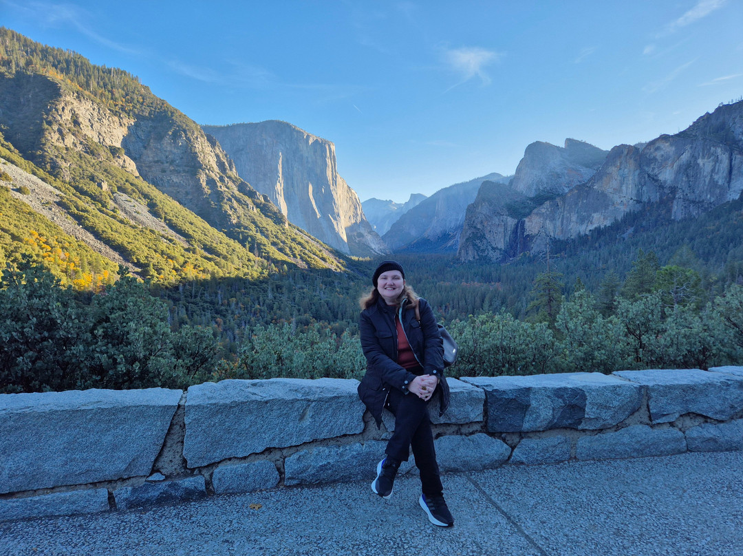 City Tours Usa-纽约市必去景点