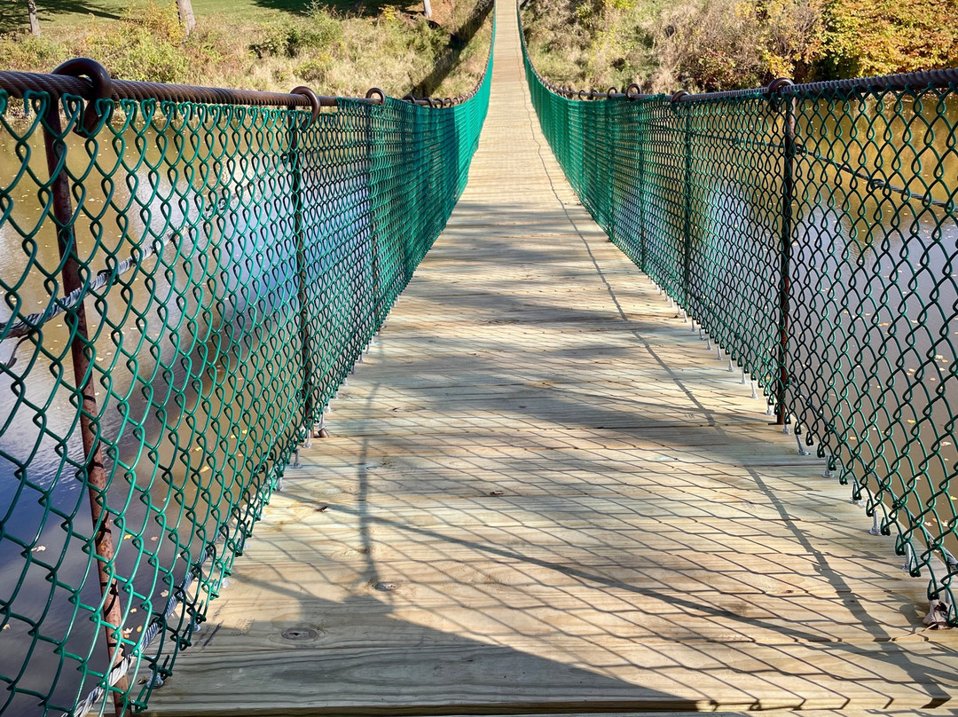 Croswell Swinging Bridge-Croswell必去景点
