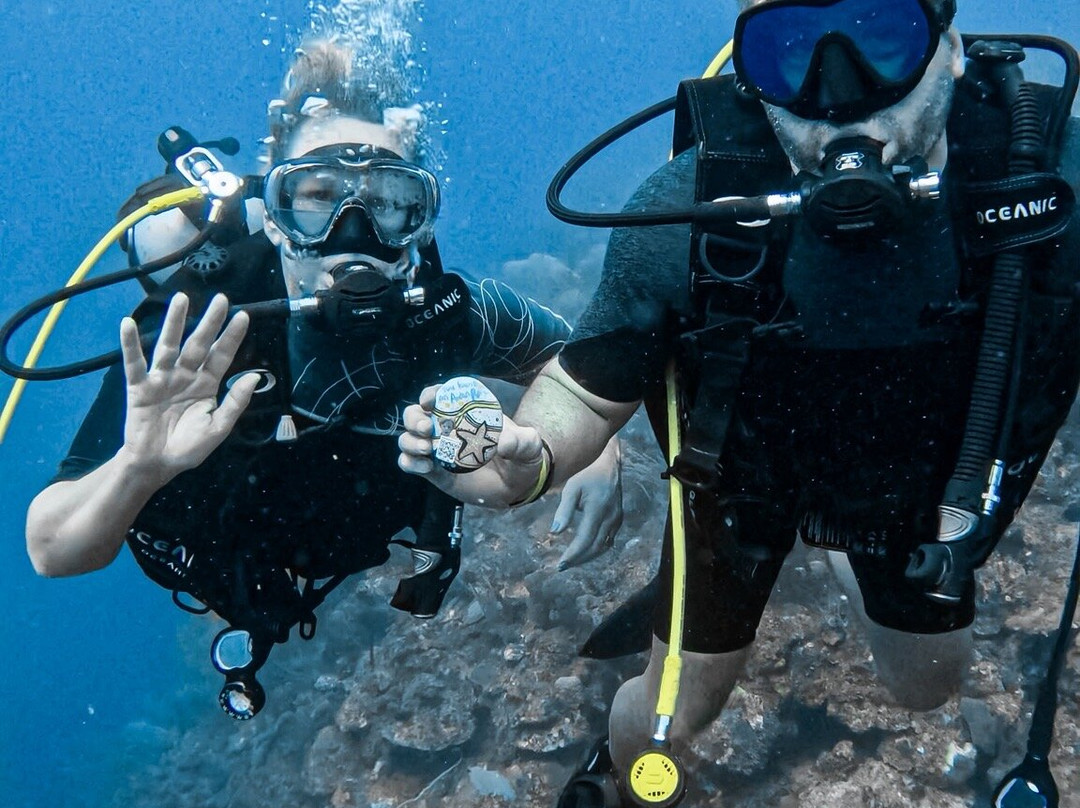Paradise Scuba & Snorkeling Center-La Parguera必去景点