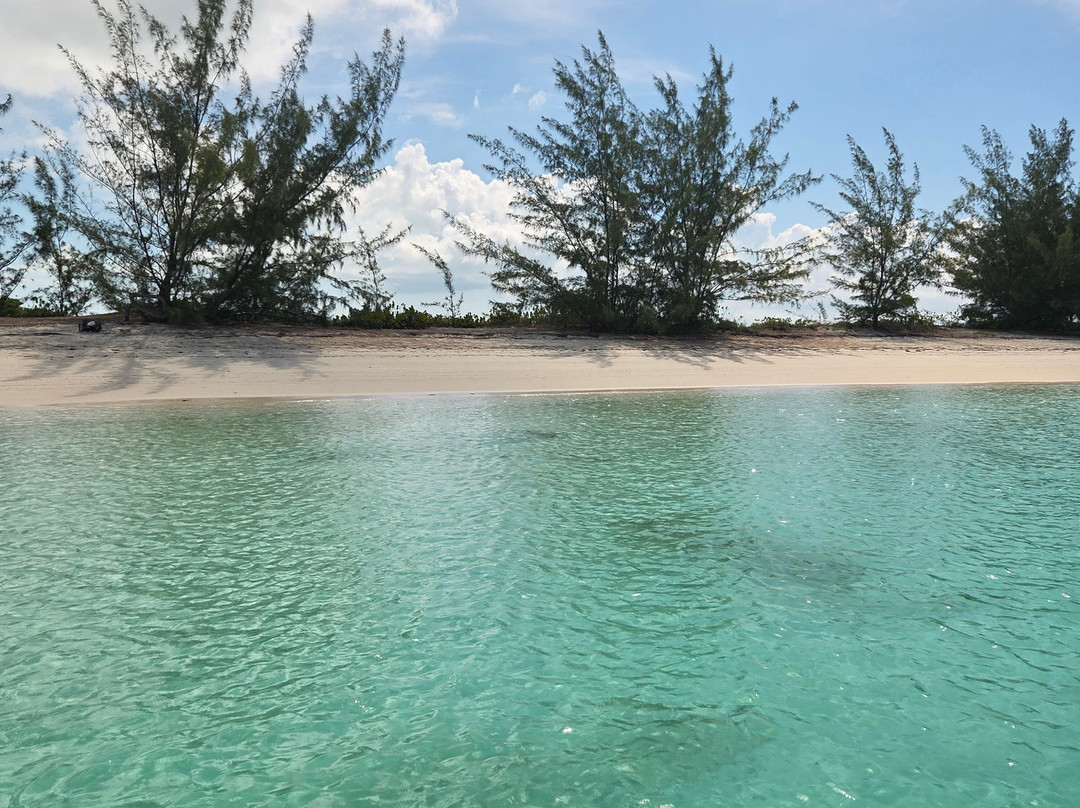 Rising Tide Tours-普罗维登西亚莱斯必去景点