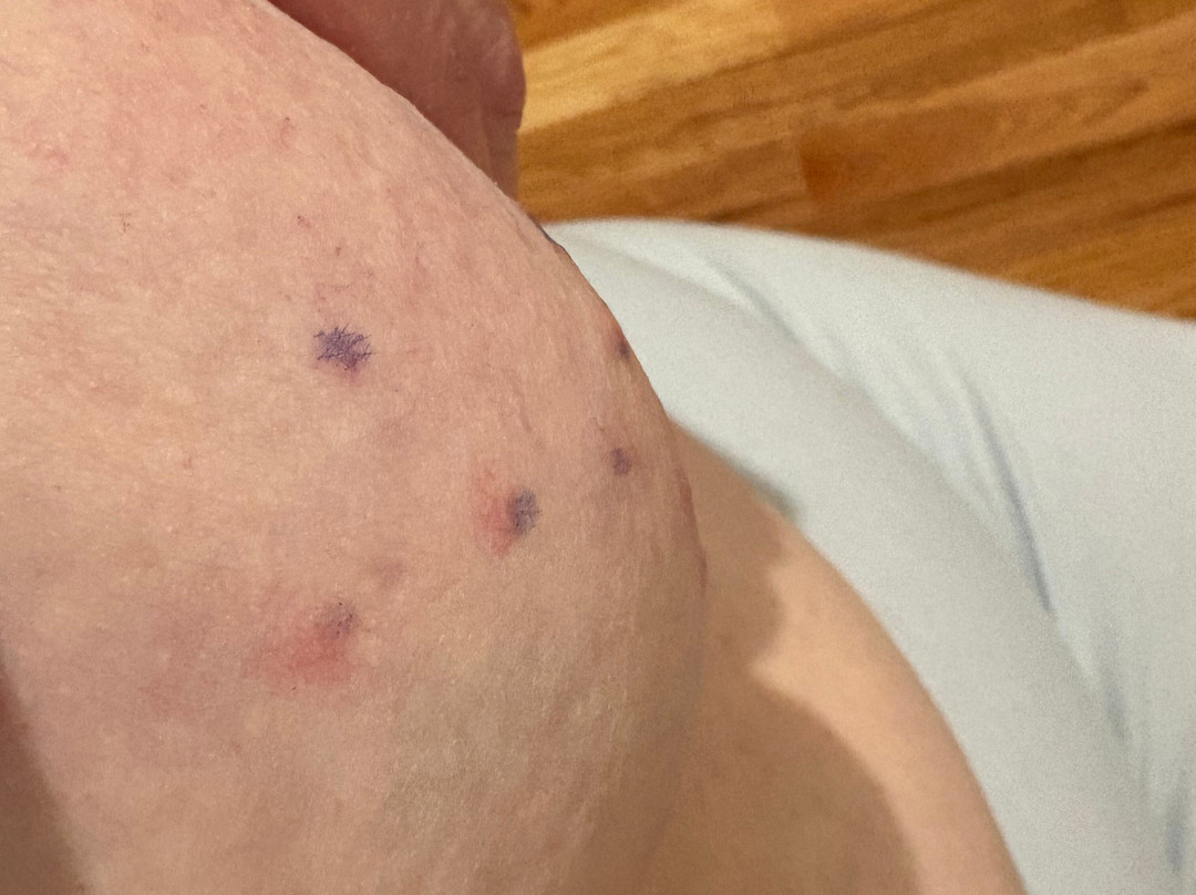 万豪酒店-亚历山大五角大楼南主图