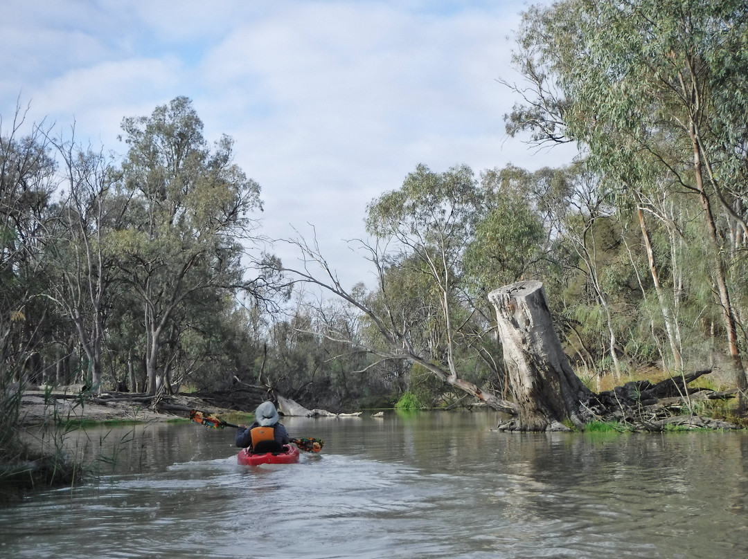 Canoe Adventures - Riverland-Berri必去景点
