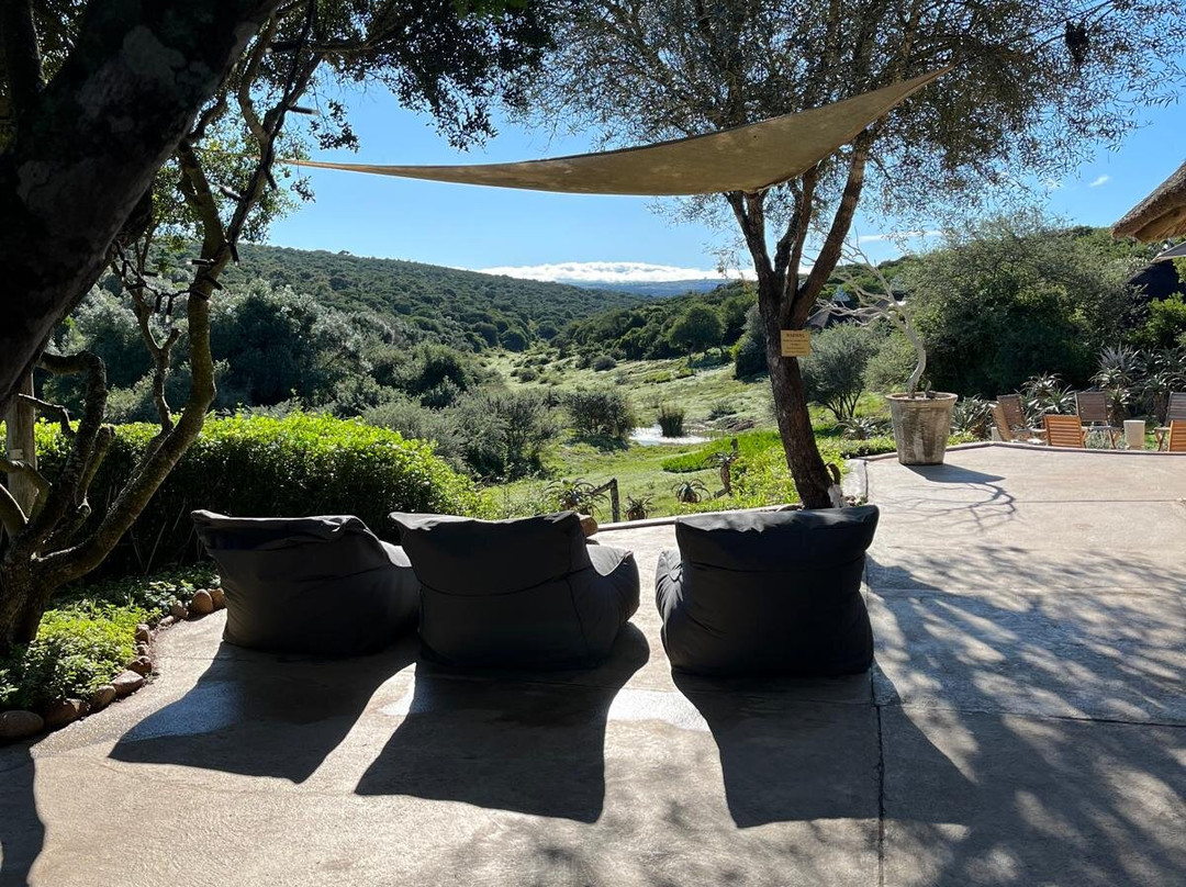 Unpaved Africa by SL-Green Point必去景点