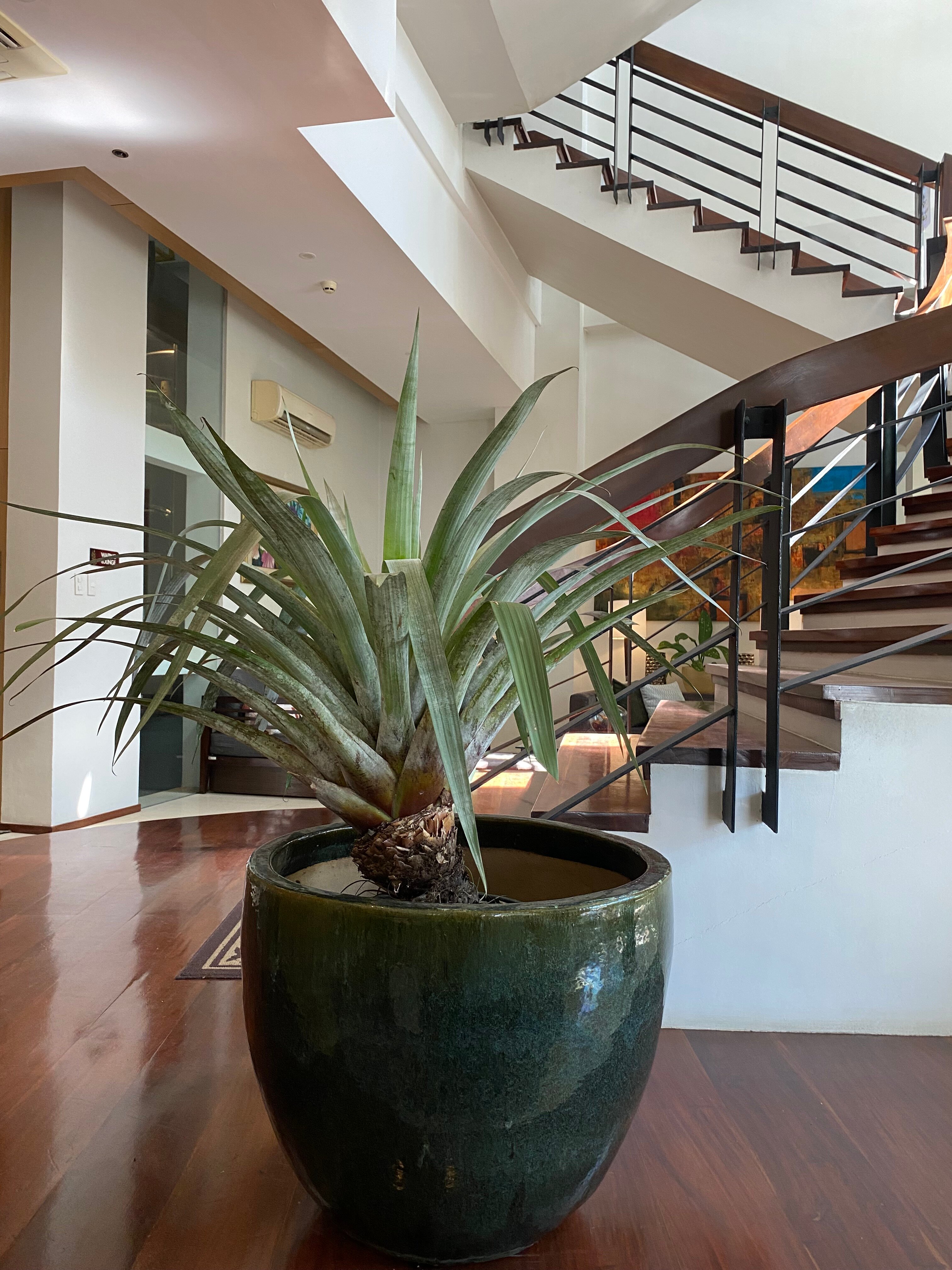 Harvest Hotel-官方