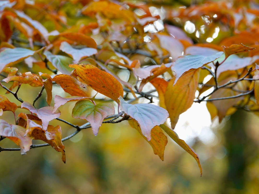 Landgoed Schovenhorst-Putten必去景点