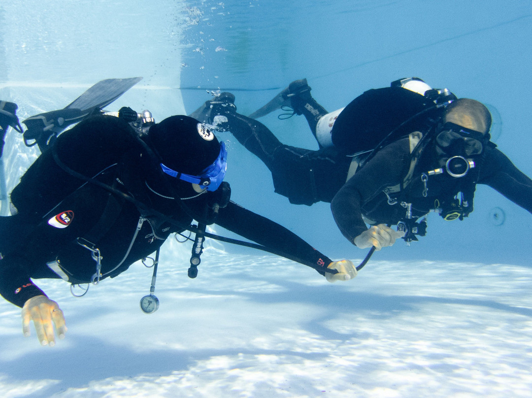 Liquid Planet Dive Centre-卡拉罗港口必去景点