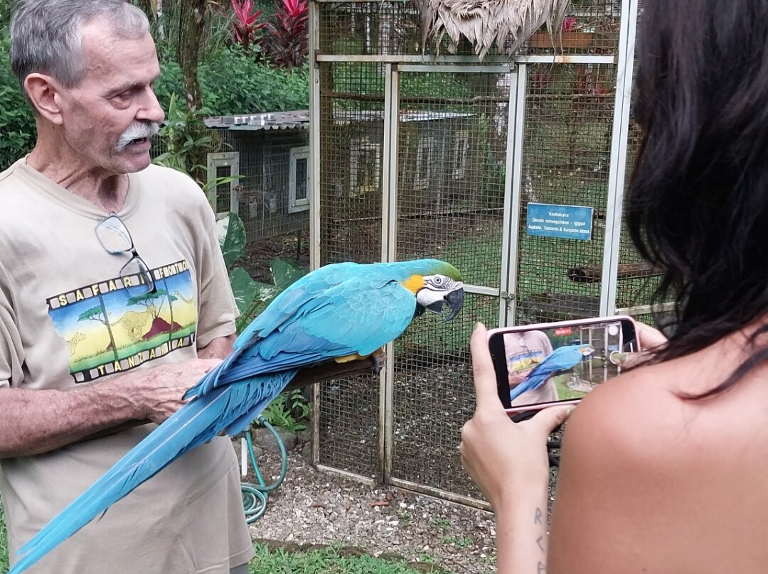 Ave Azul de la Osa-Carate必去景点