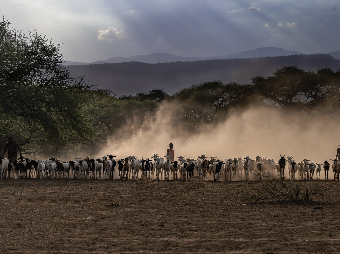 Wild Eye-弗维斯必去景点