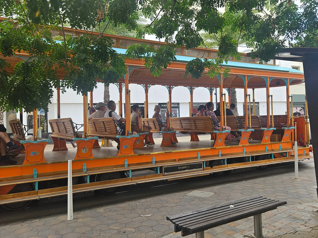 Aruba Streetcar-奥腊涅斯塔德必去景点