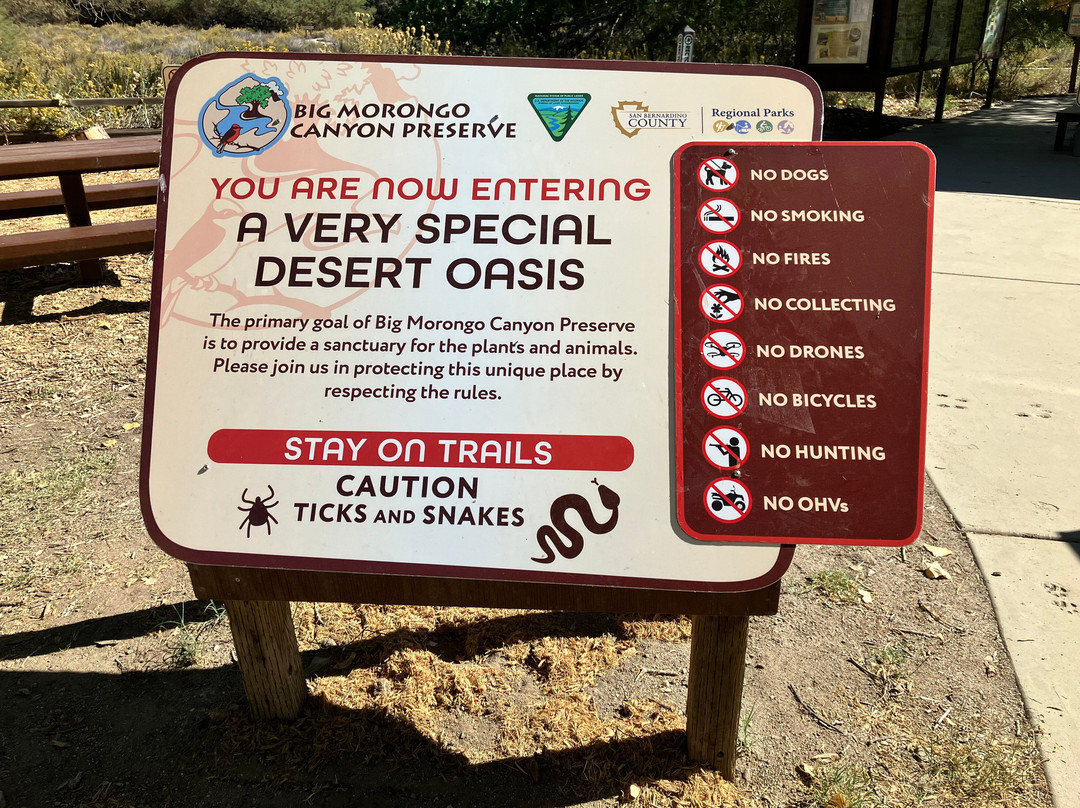 Big Morongo Canyon Preserve-Morongo Valley必去景点