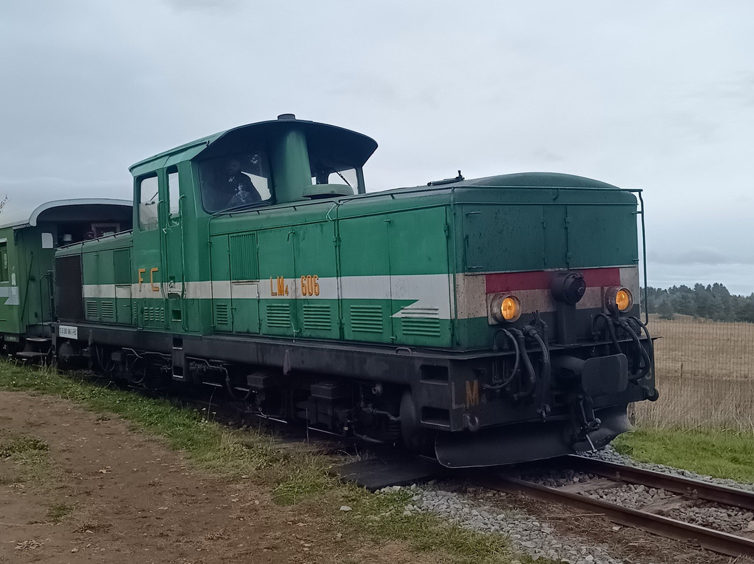 Treno della Sila-Camigliatello Silano必去景点