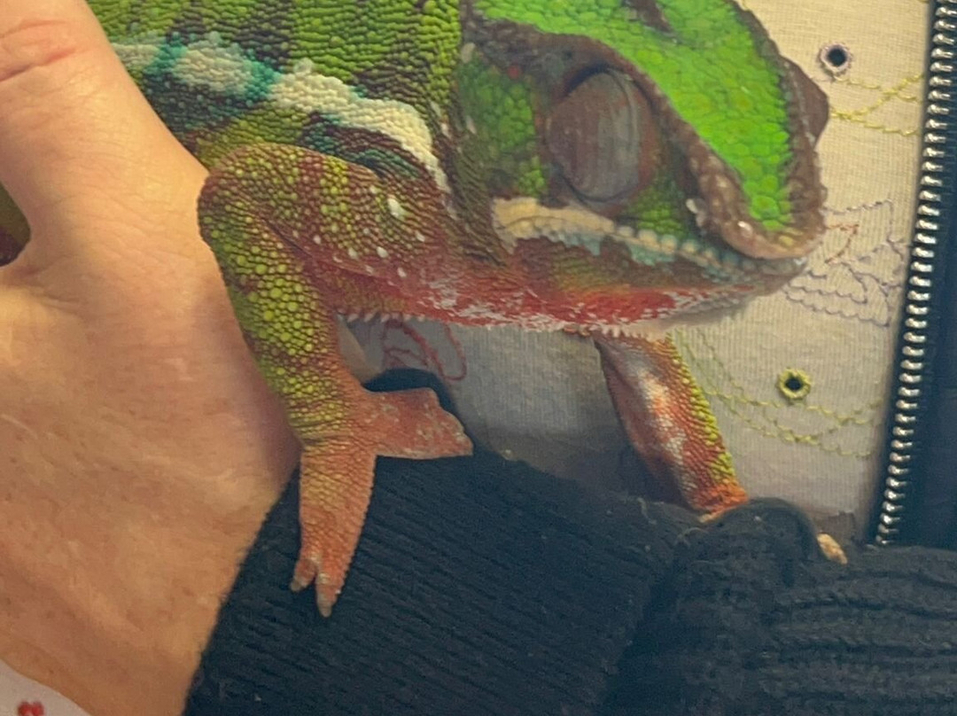 Really Wild Planet-比迪福德必去景点