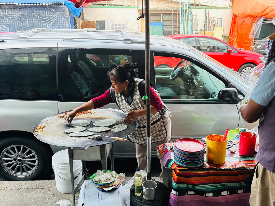 Mercado de Jamaica-墨西哥城必去景点