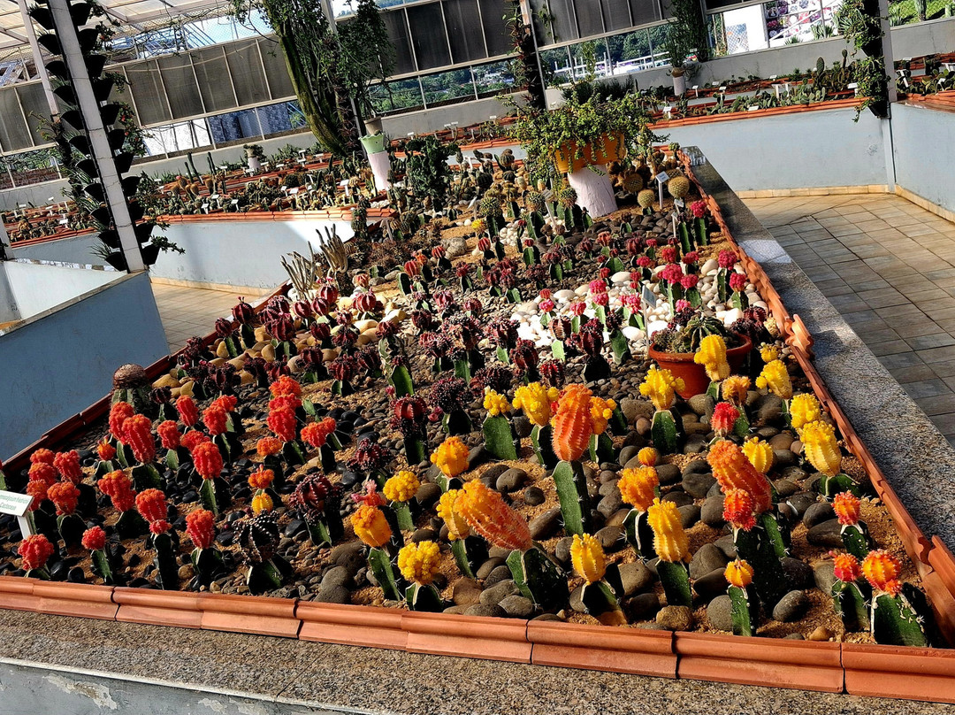 Cactus Garden-Kevadia必去景点