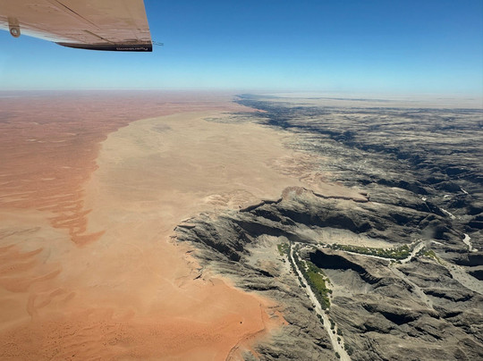 Bush Bird - Sossusfly-斯瓦科普蒙德必去景点