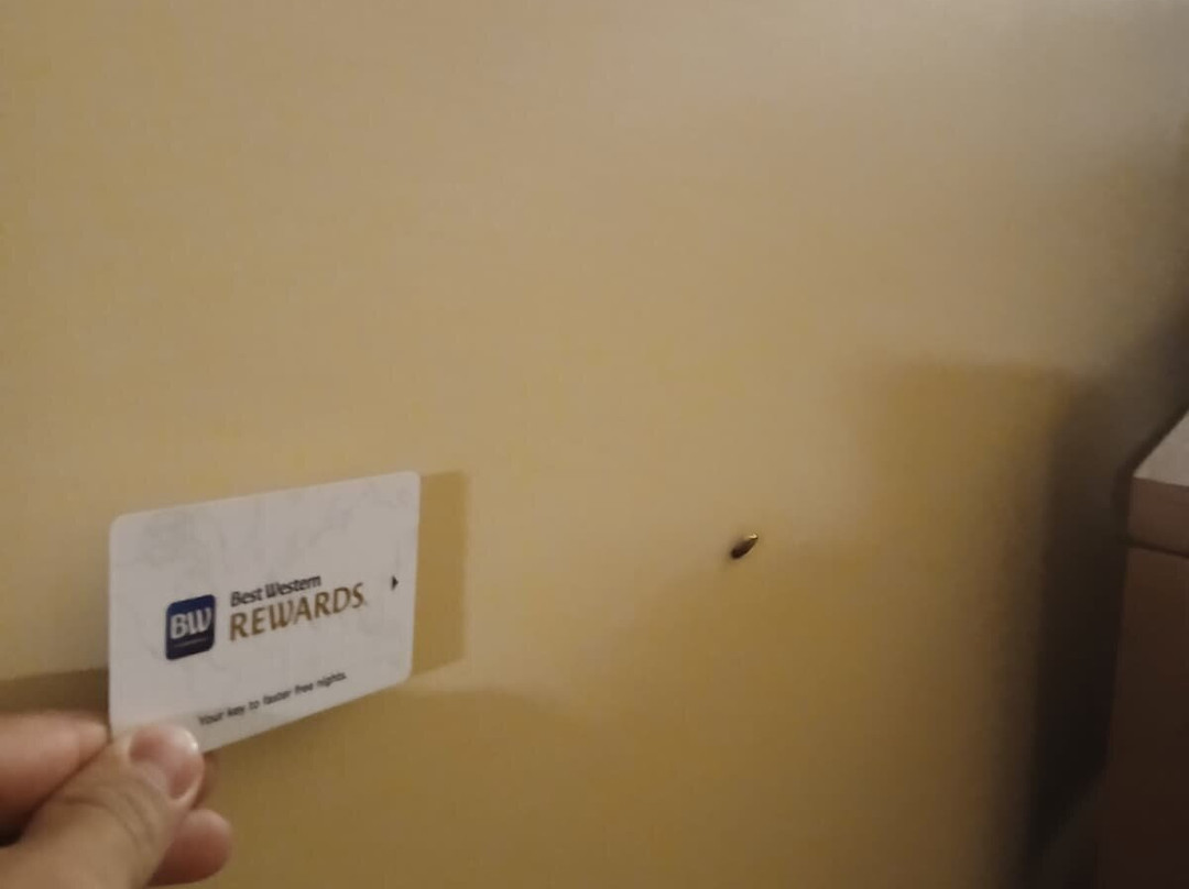 最佳西方皇后酒店主图