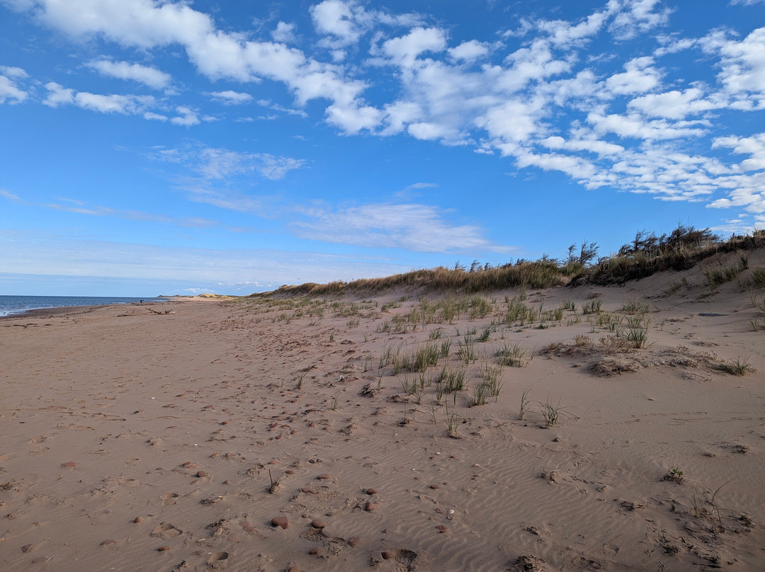 Brackley Beach-Brackley Beach必去景点