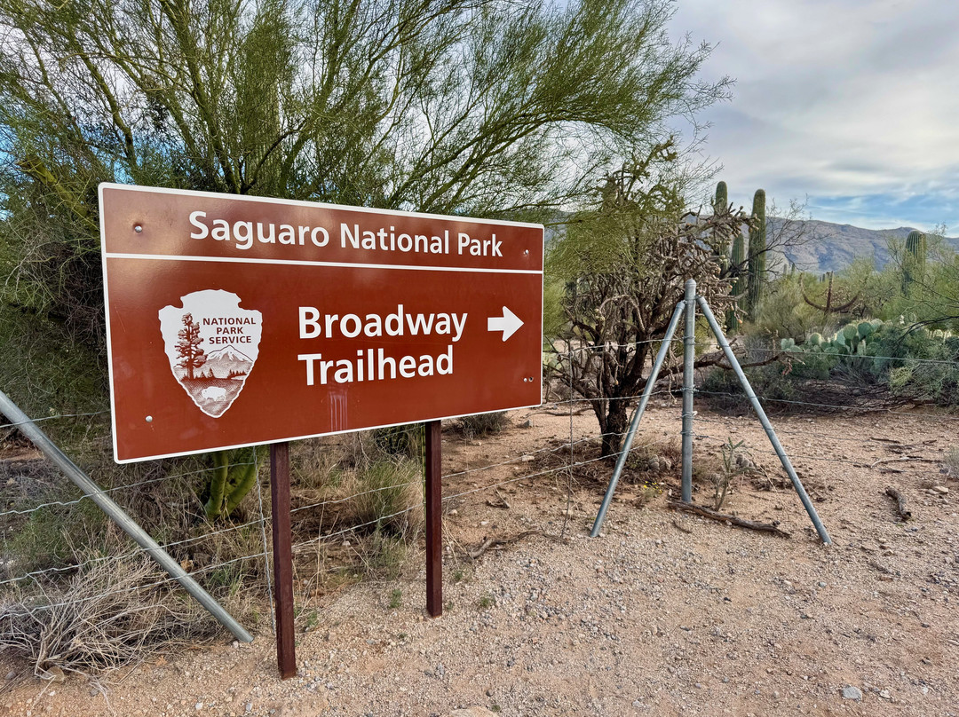 Saguaro National Park-图森必去景点