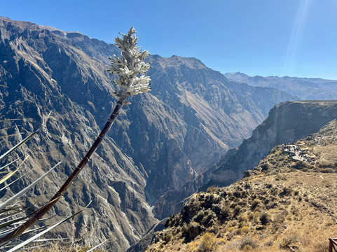 Paprika Tours-阿雷基帕必去景点