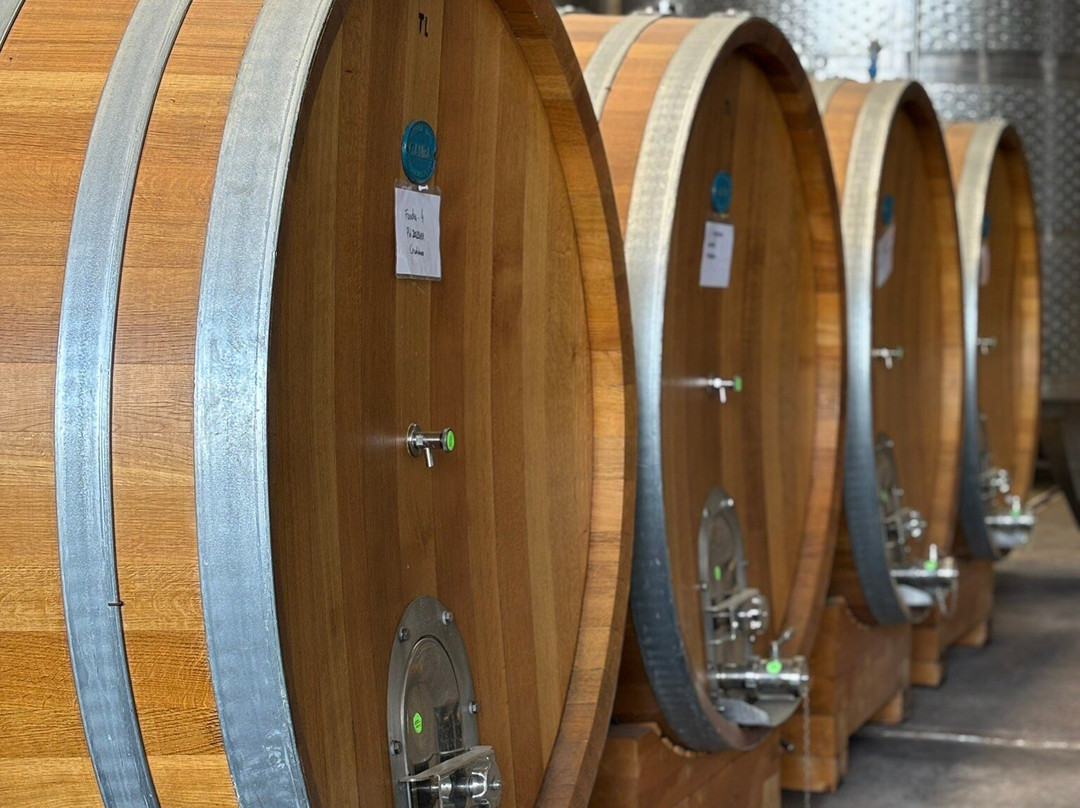 William Cole Vineyards-卡萨布兰卡必去景点