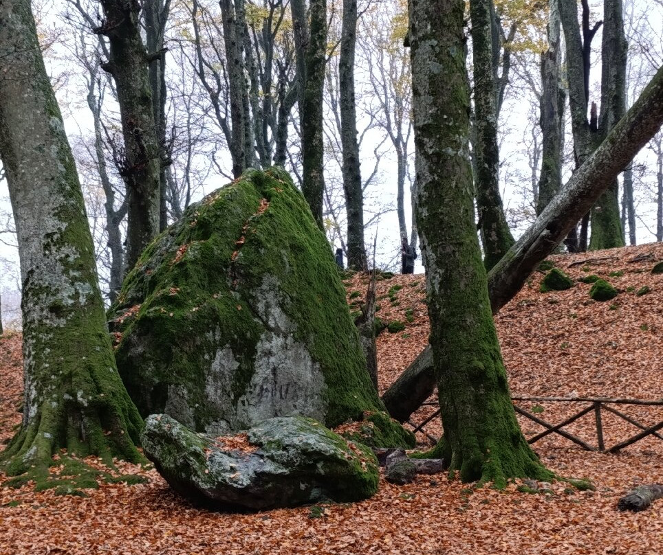 Faggeta del Monte Cimino-Soriano nel Cimino必去景点