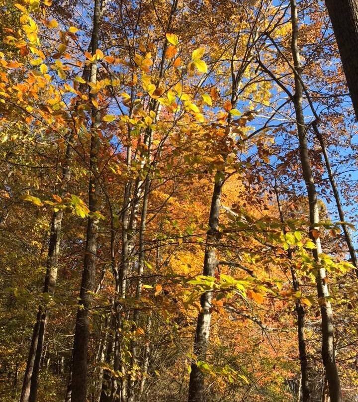 Burke Lake Park-Fairfax Station必去景点