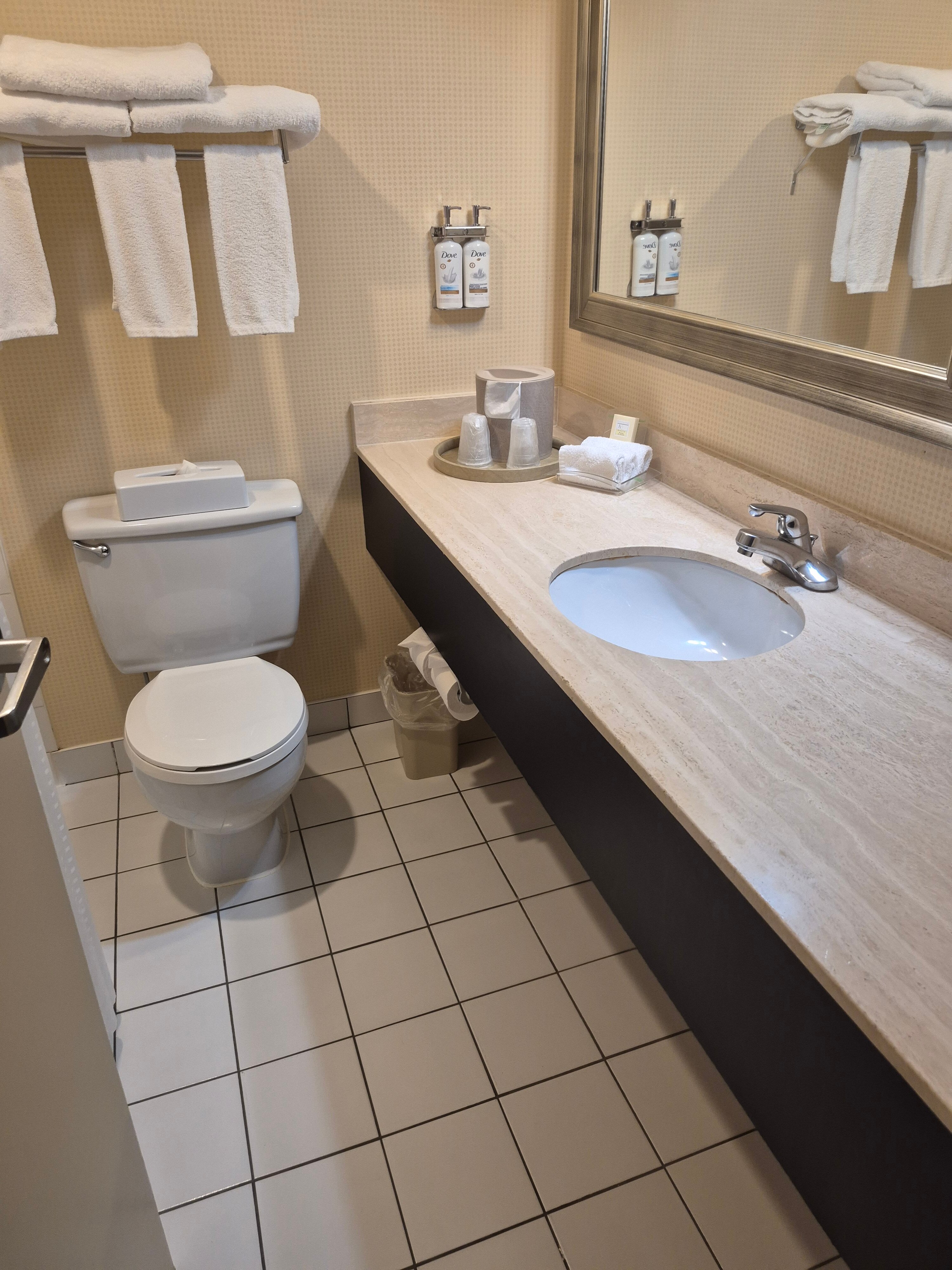 Holiday Inn Laval - Montreal by IHG-浴室