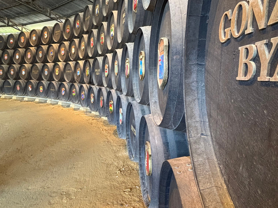 Bodegas Tio Pepe-赫雷斯德拉弗隆特拉必去景点